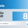 eSIM Federația Rusă 7 zile 1 GB